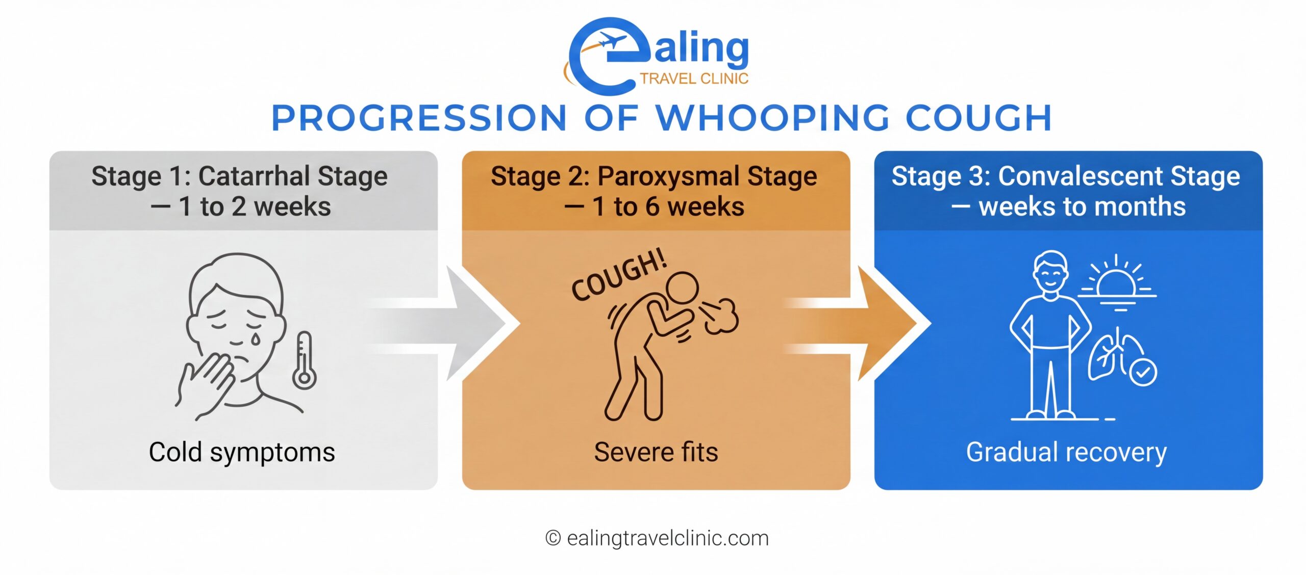 Whooping cough stages in adults — how long does each stage last? Three stages of whooping cough in adults — catarrhal paroxysmal convalescent